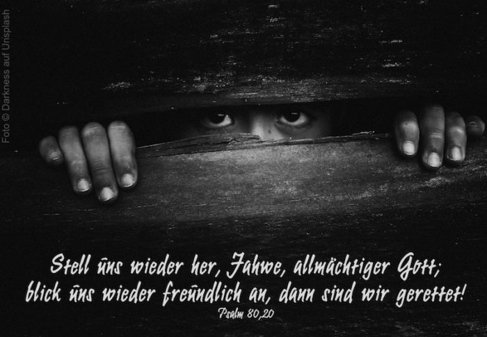 Augen durch Bretterwand