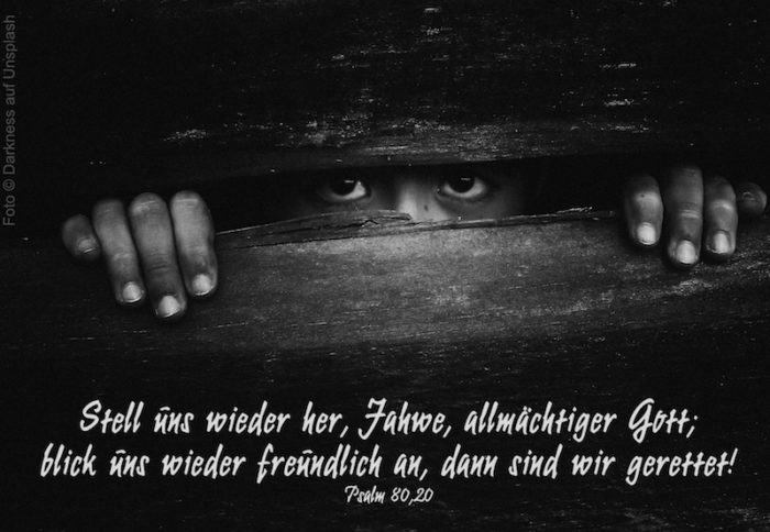 Augen durch Bretterwand