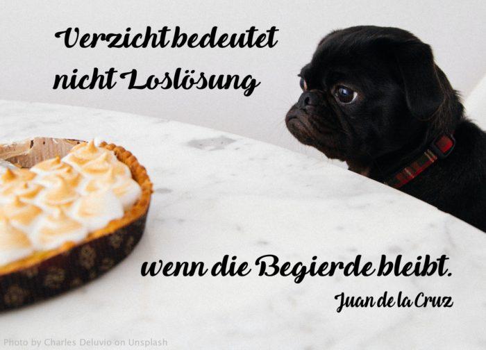 Schwarzer Hund stiert auf Kuchen