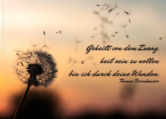 Pusteblume