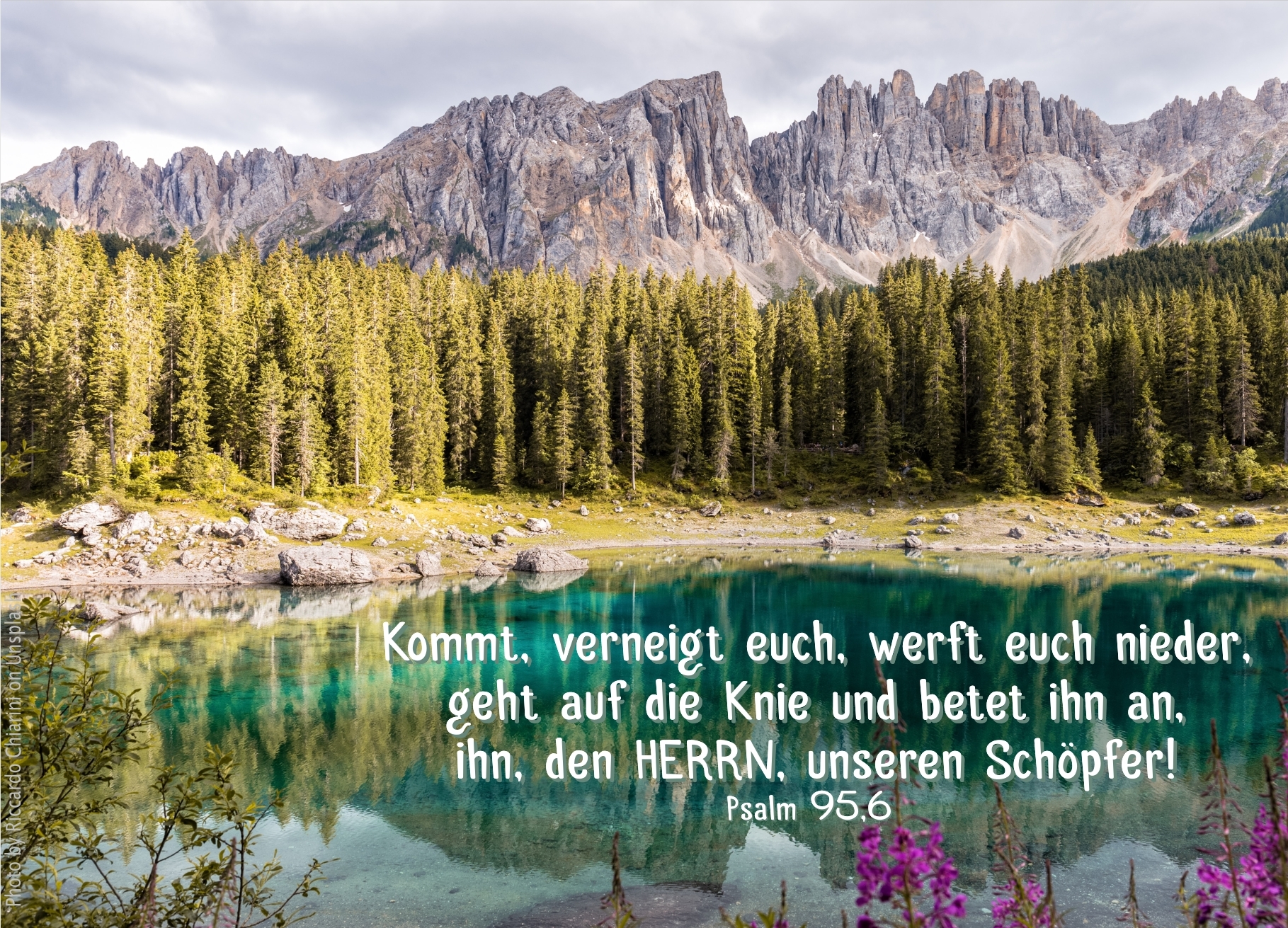 alt="Bergsee_von_Tannen_umstanden_erwartet_bibelhoerbuch_Wer_sich_freuen_darf"