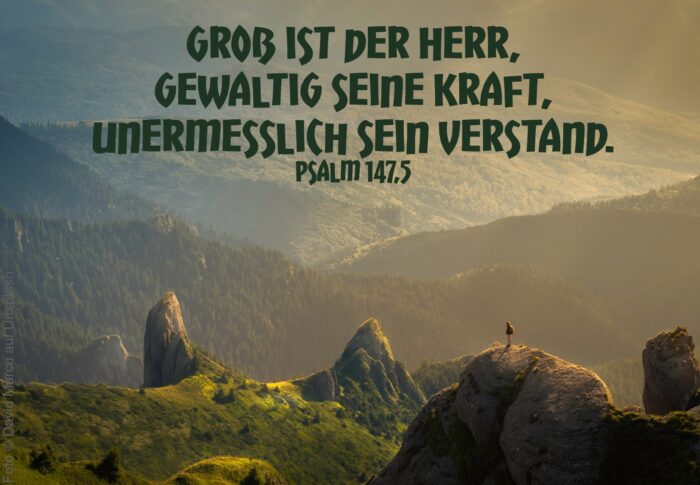 alt=
