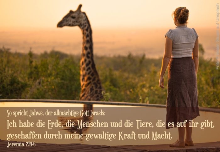 Frau und Giraffe